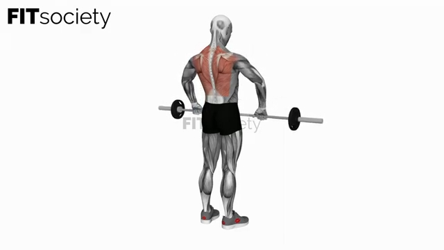 Barbell Upright Row