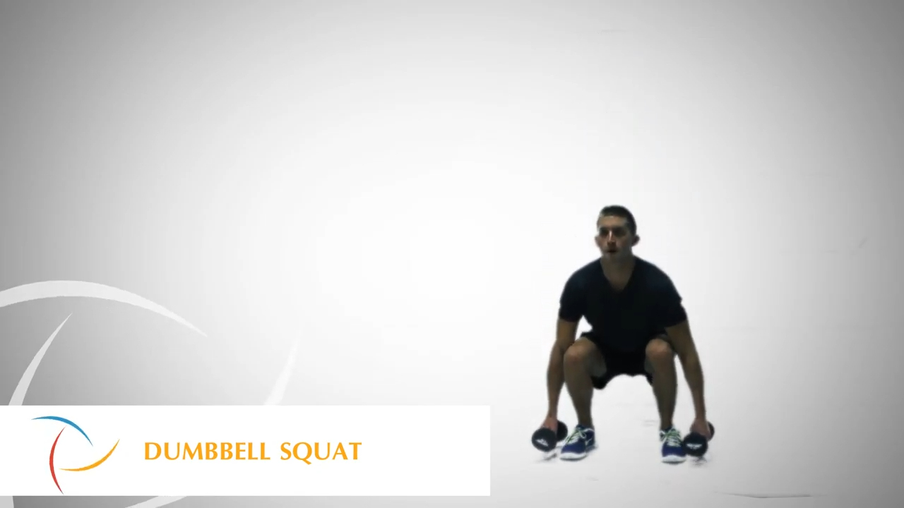 Dumbbell Squat