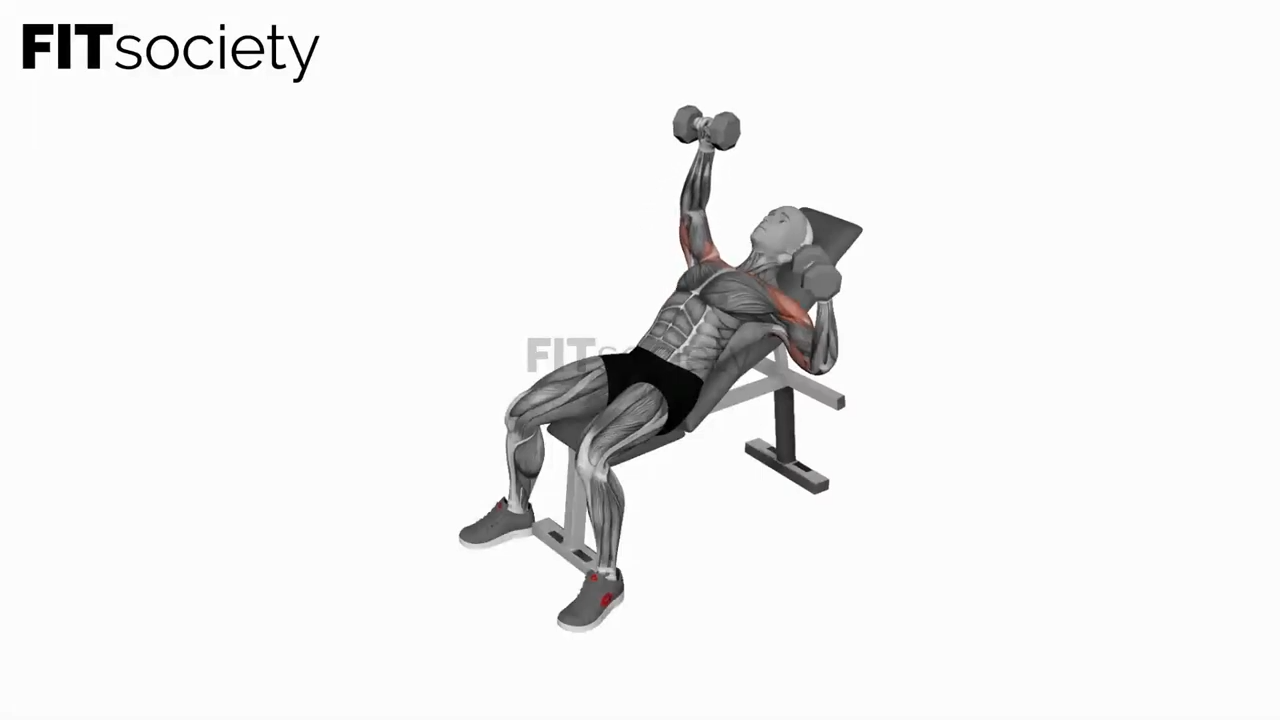 Dumbbell Incline Alternate Press
