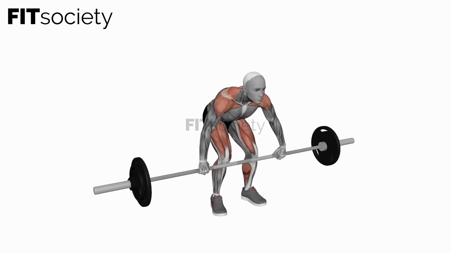 Barbell Snatch Pull