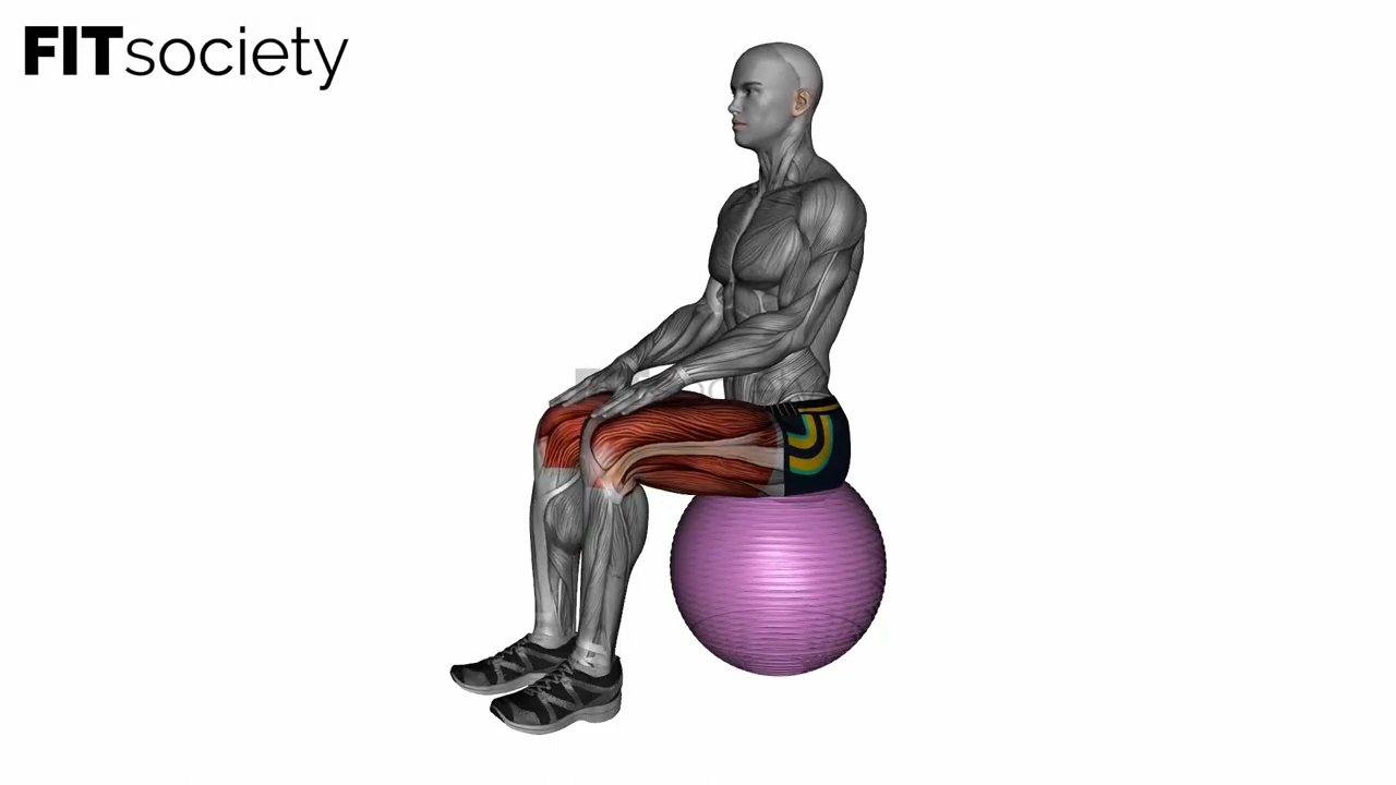 Exercise Ball Seated Hamstring Stretch