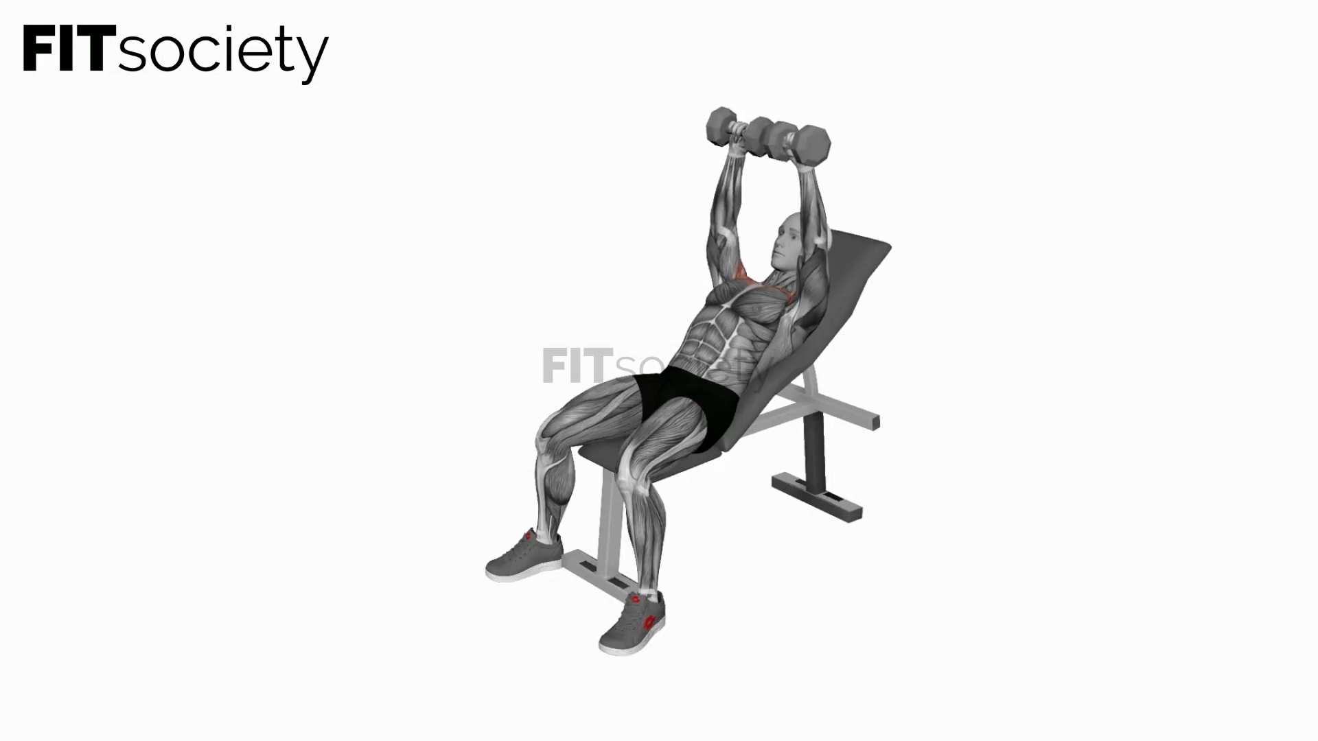 Dumbbell Incline Breeding