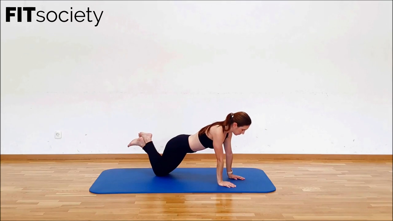 Commando Plank Modification