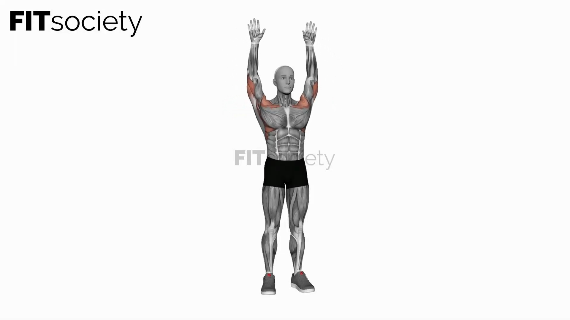 Bodyweight Standing Military Press
