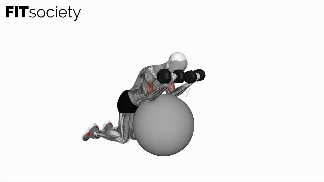 Dumbbell Preacher Curl Over Exercise Ball