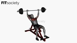 Incline Barbell Bench Press