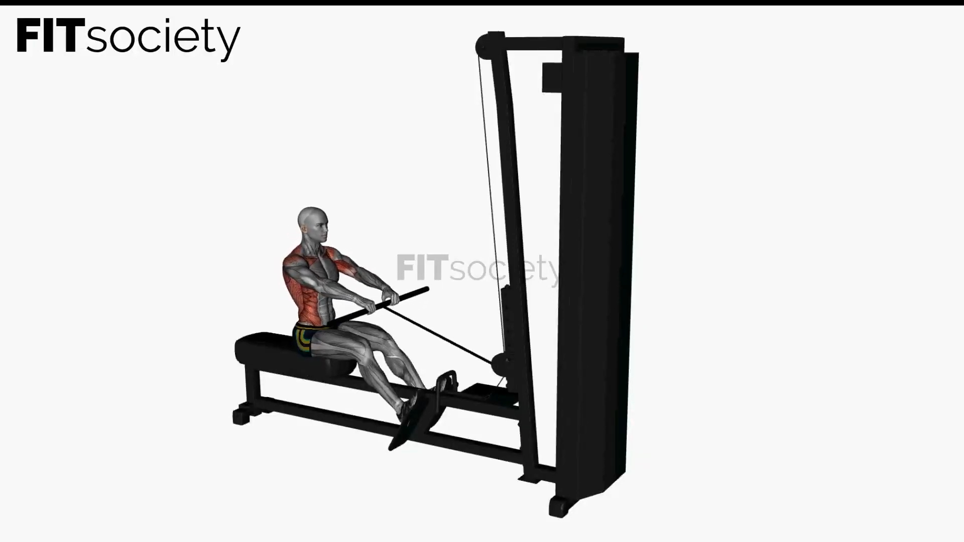 Straight Bar Cable Row Close Grip