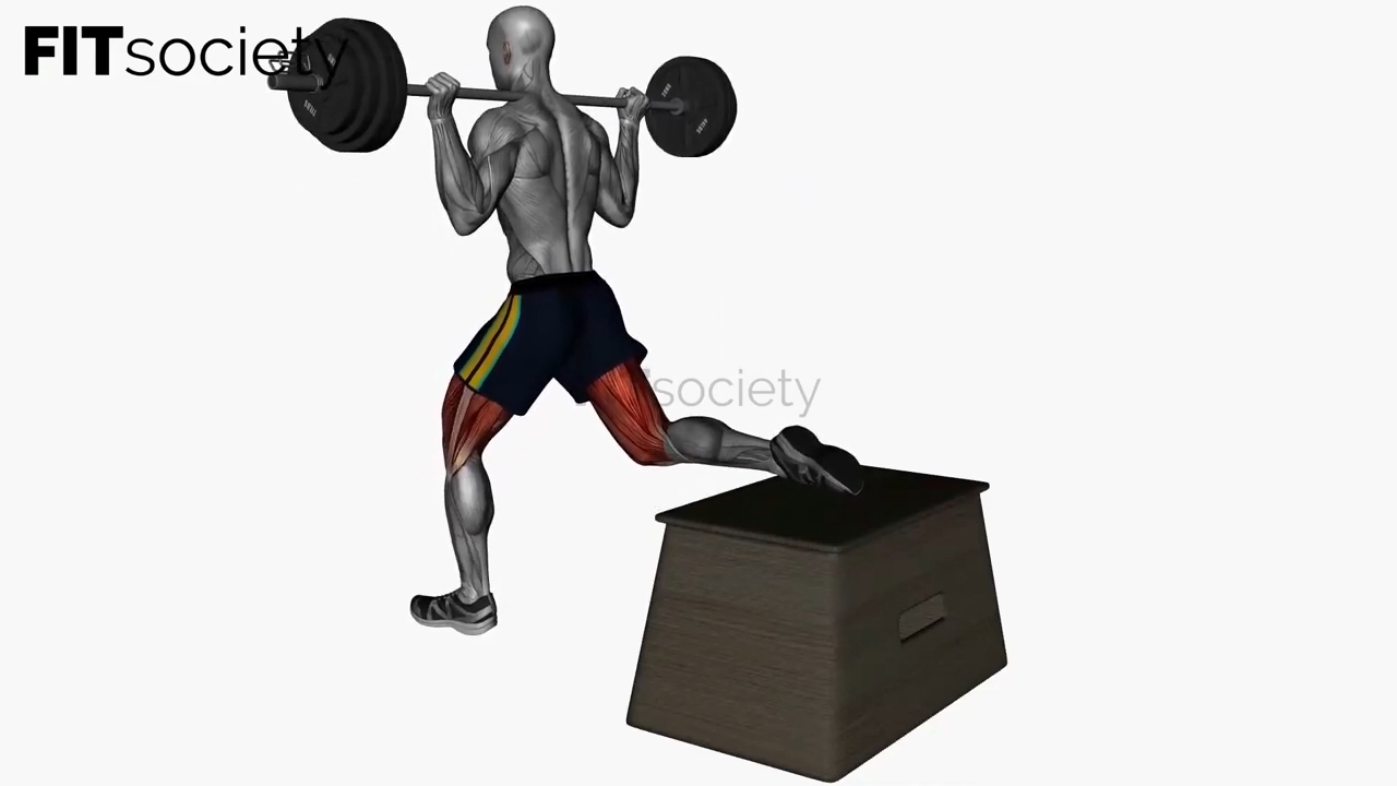 Squat bulgare avec barre, jambe gauche surélevée — vue avant-arrière