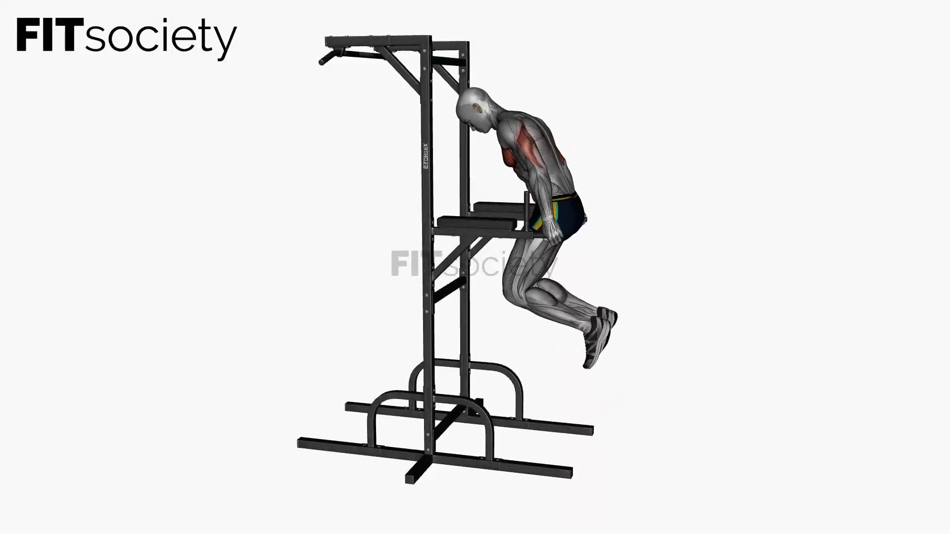 Chest Dip With Pause Bodyweight