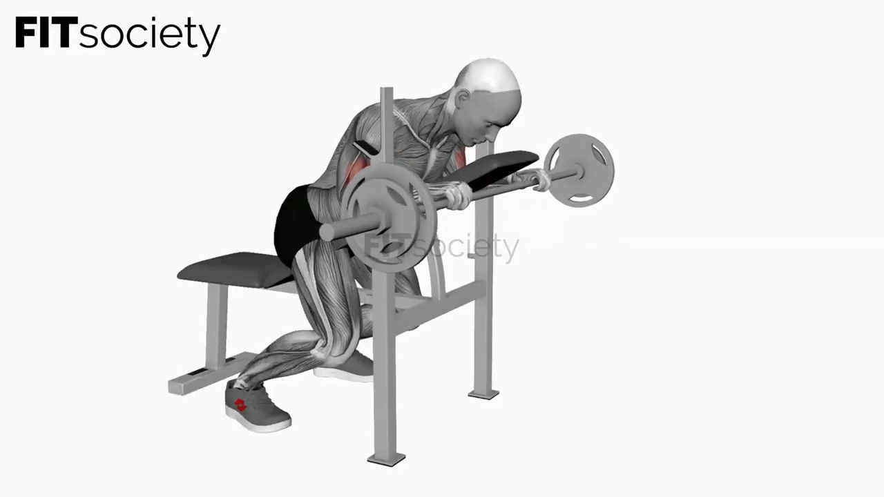 Barbell Reverse Spider Curl