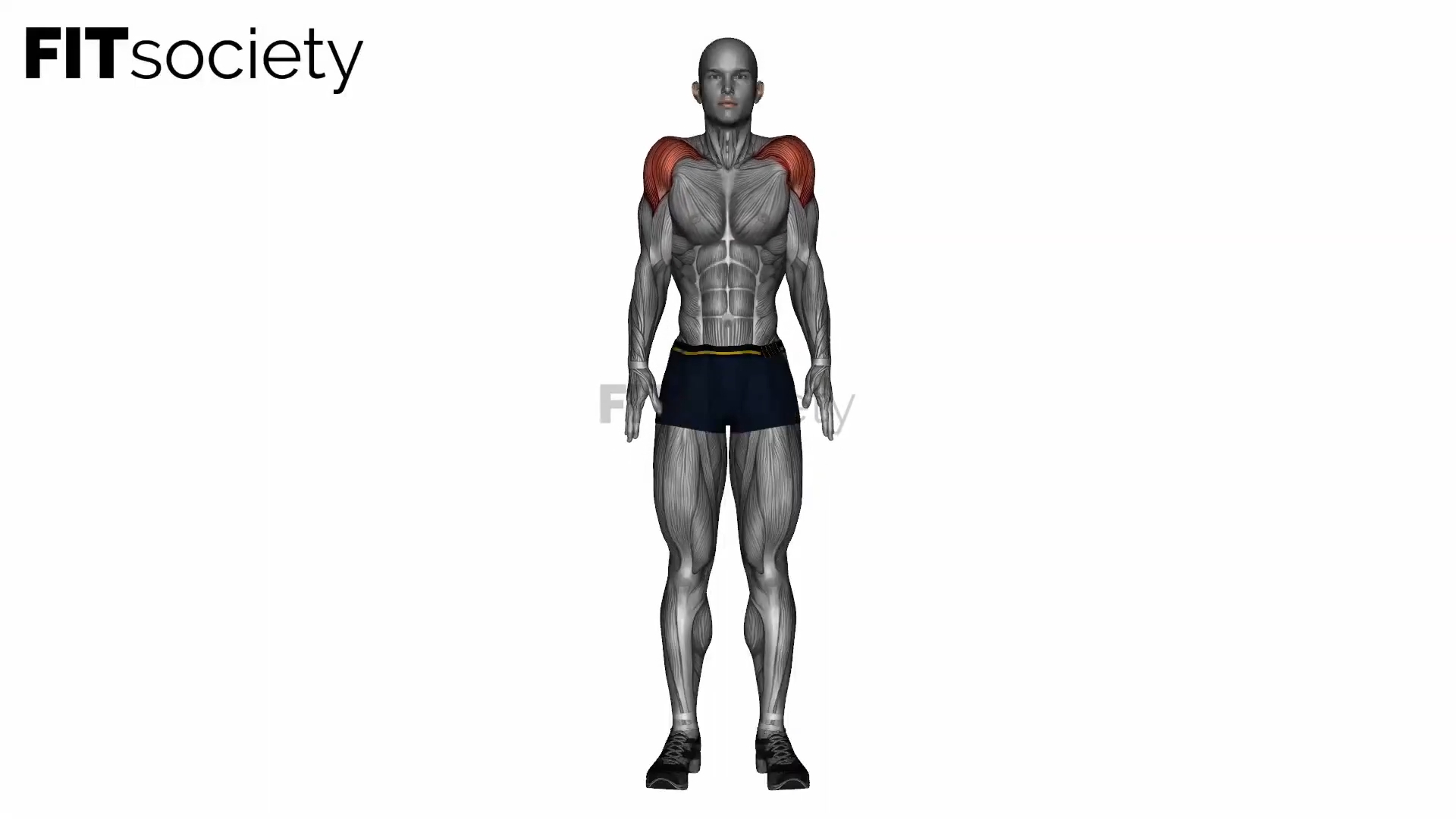 Shoulder Circle