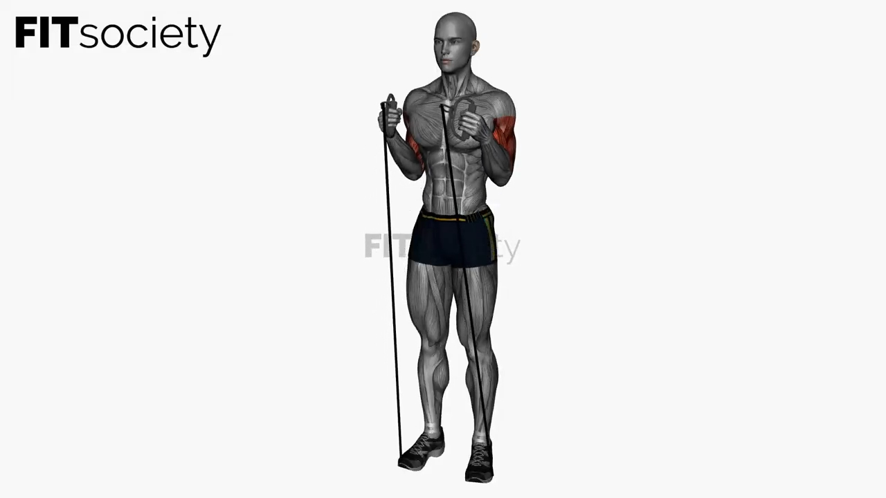 Hammer Curl Resistance Band Simultaneous