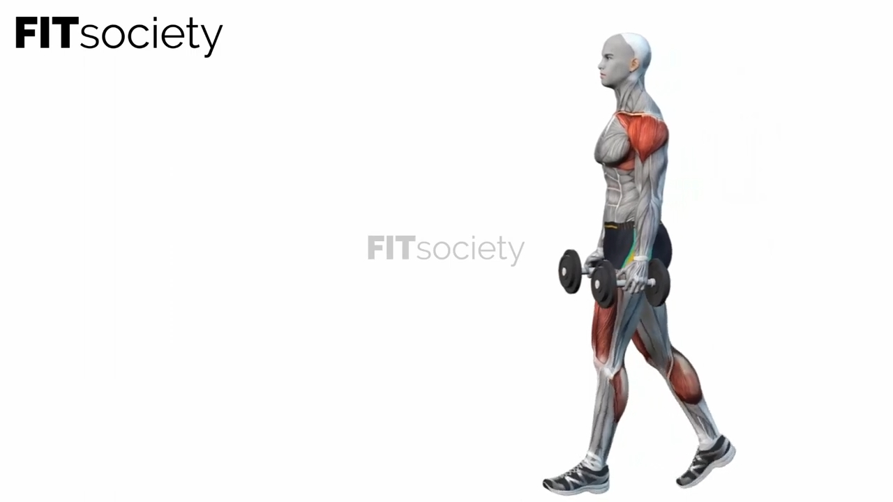 Dumbbell Farmer Walks