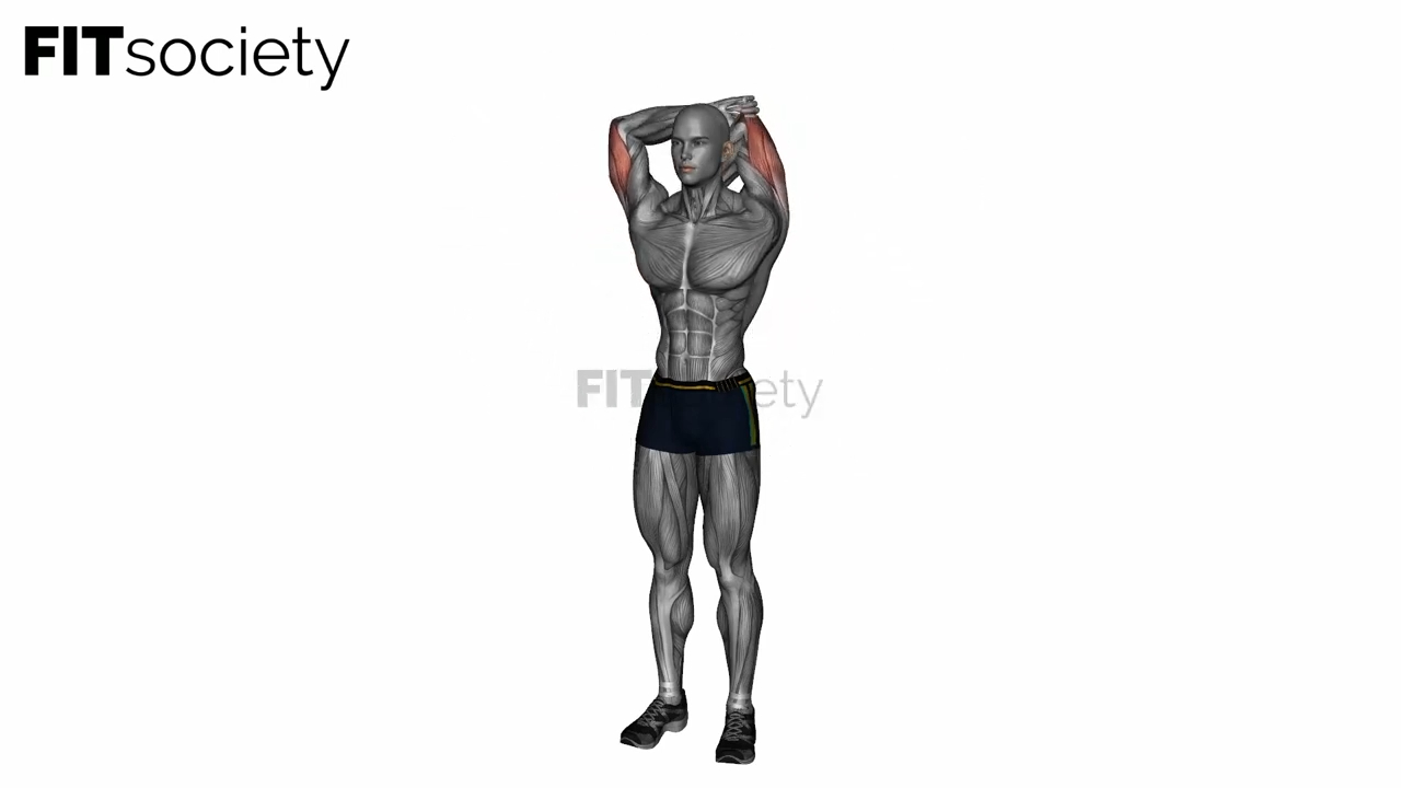 Étirement des triceps au-dessus de la tête avec angle latéral