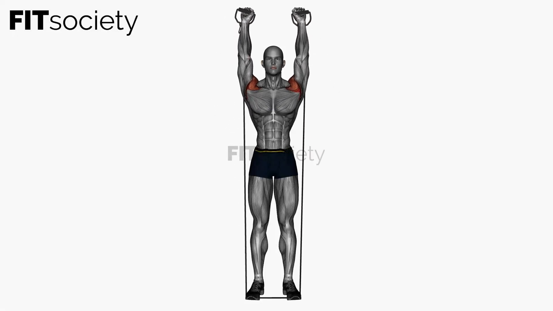 Biceps Curl To Shoulder Press Resistance Band