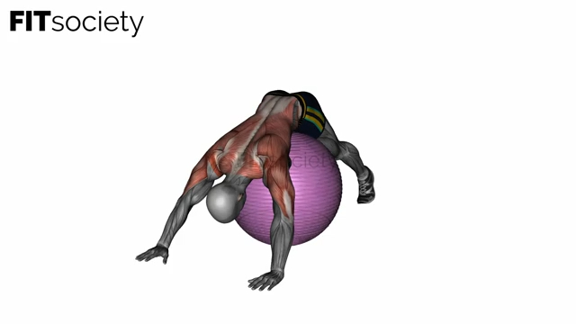 Exercise Ball Lower Back Prone Stretch