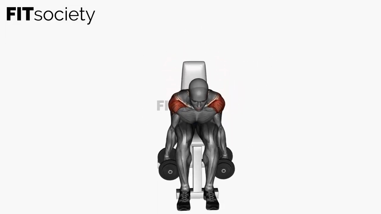 Lateral Raises Dumbbell Seated With Swing