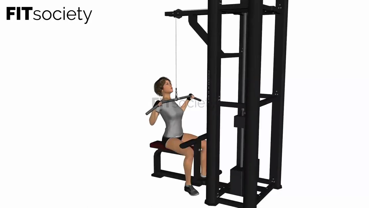 Lat Pulldown