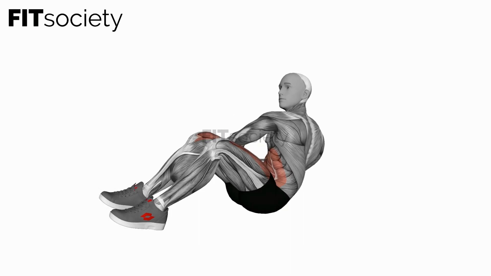 Dumbbell Russian Twist With Legs Floor Off