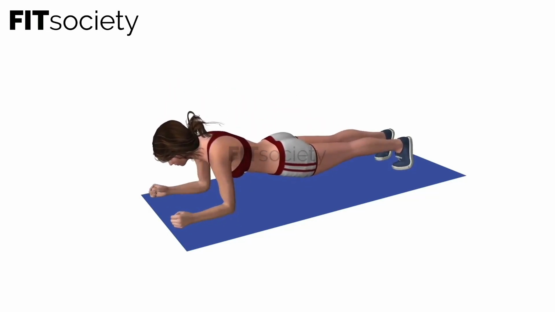 Plank High To Low