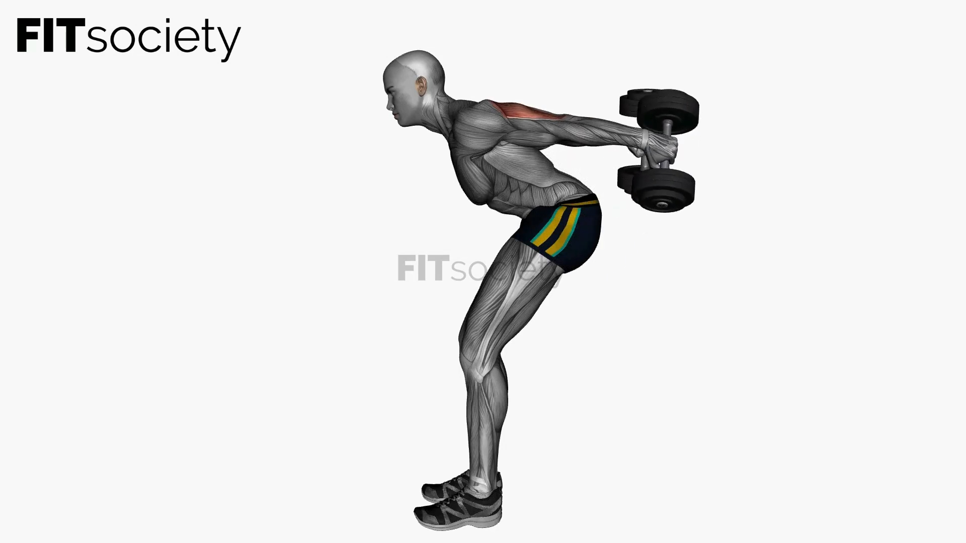 Dumbbells Triceps Kick Back Both Arms