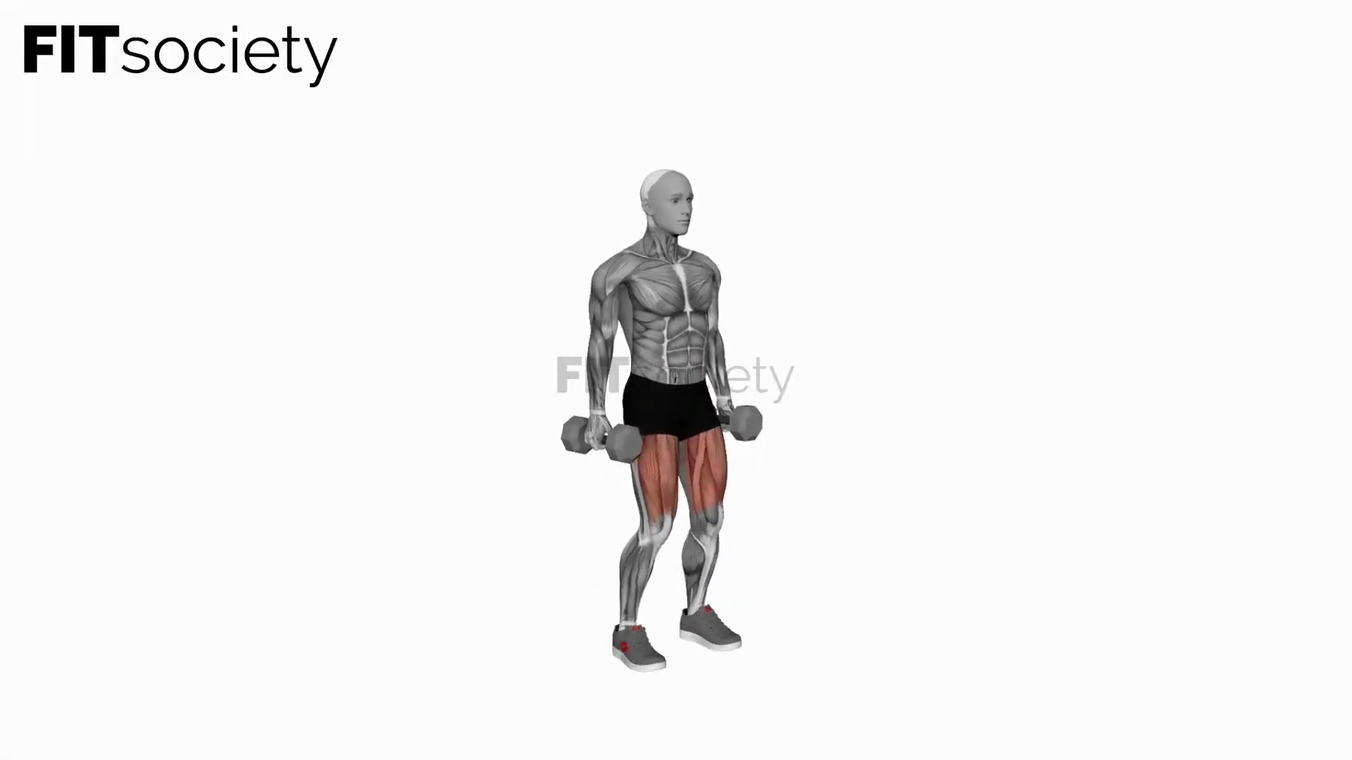 Dumbbell Jumping Squat