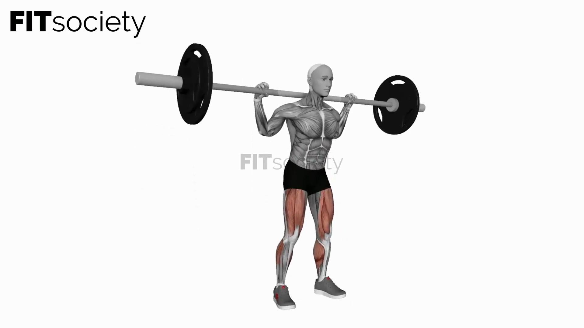 Barbell Jump Squat