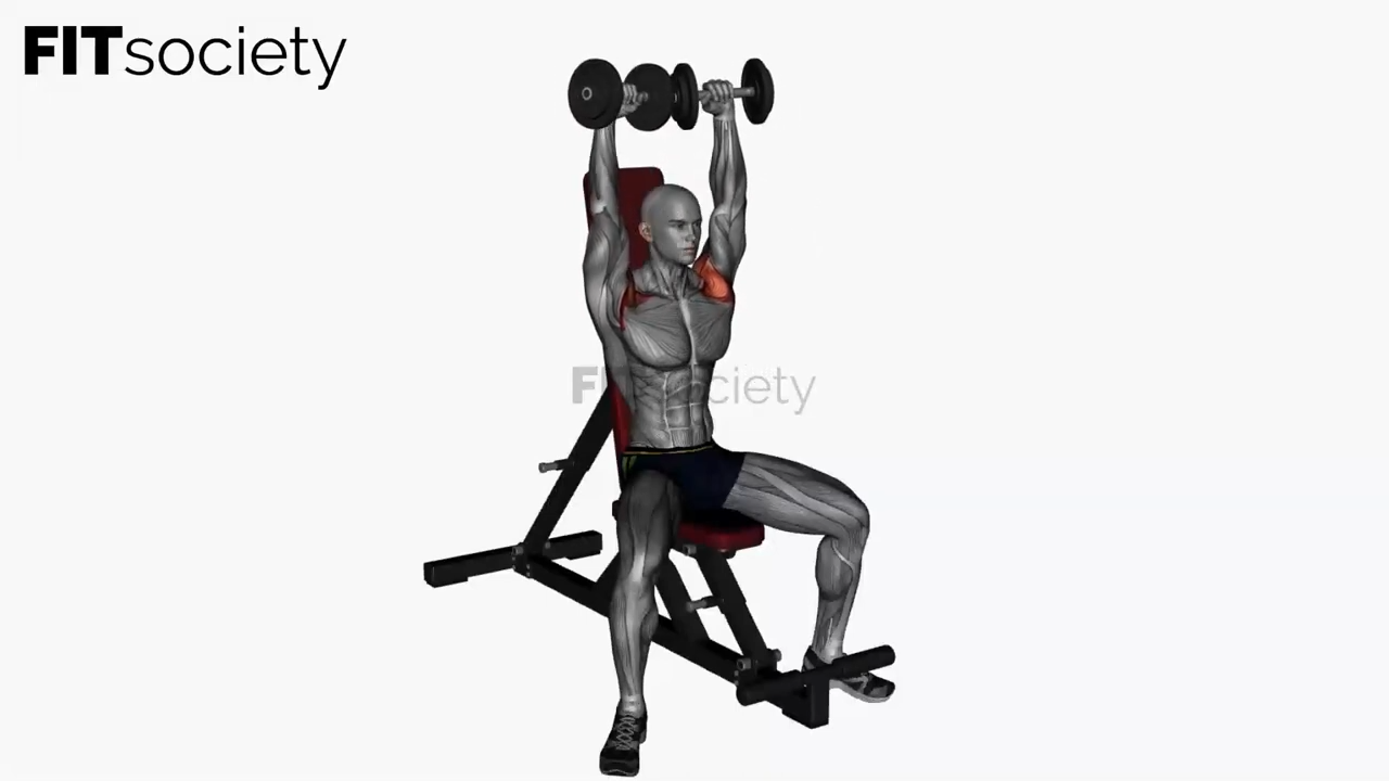 Arnold Press Dumbbell