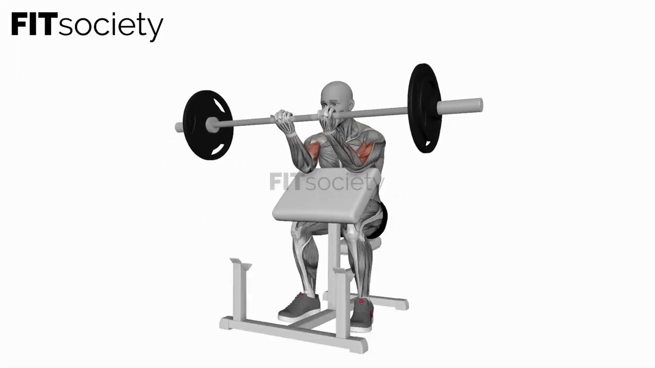 Barbell Preacher Curl