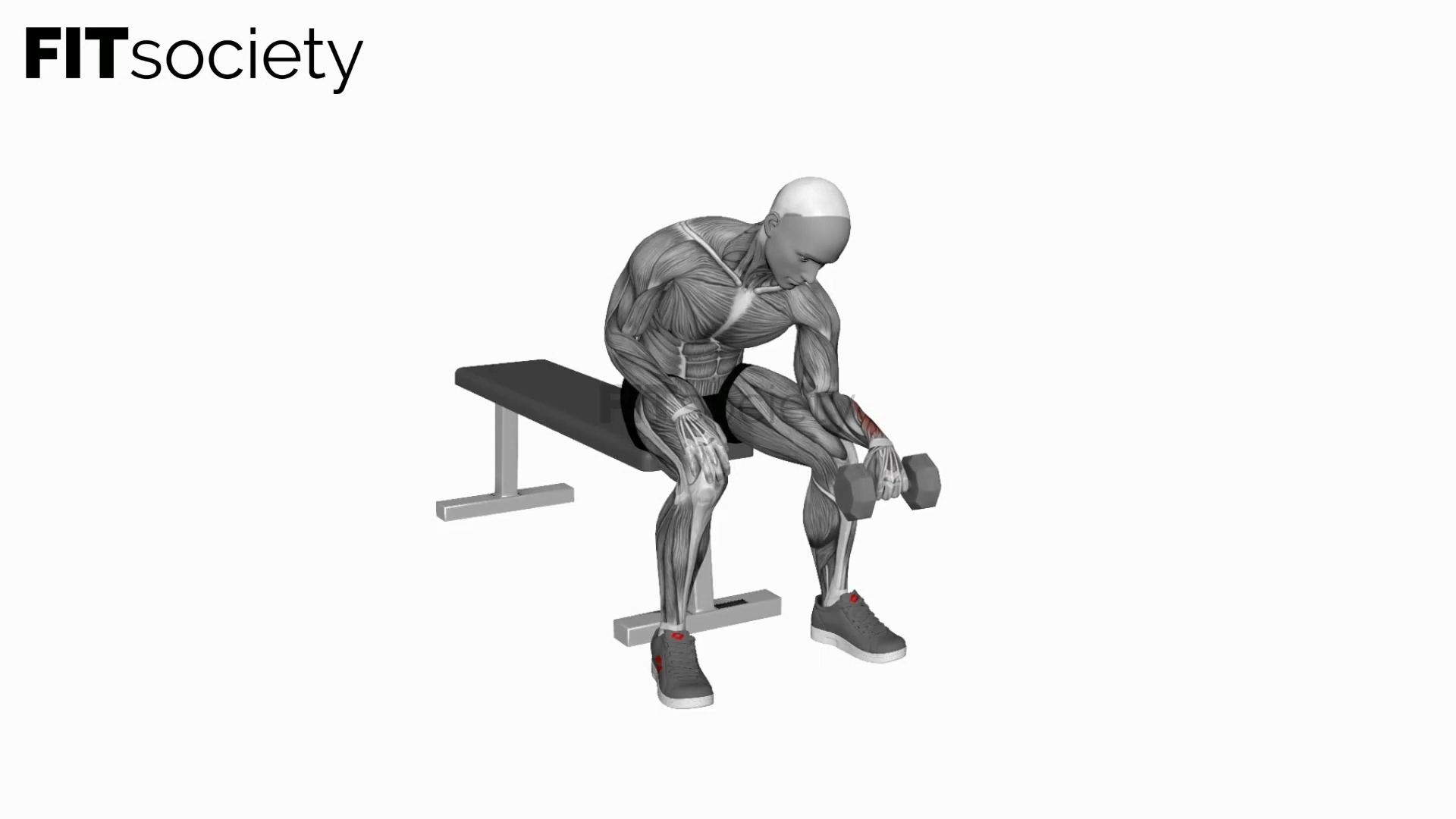 Dumbbell One Arm Revers Wrist Curl