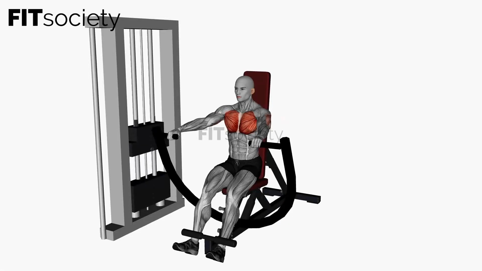 Machine Chest Press Flat