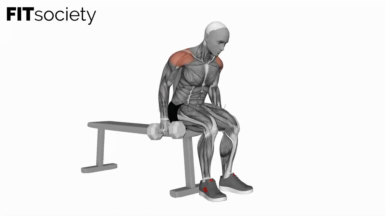 Dumbbell Leaning Fly