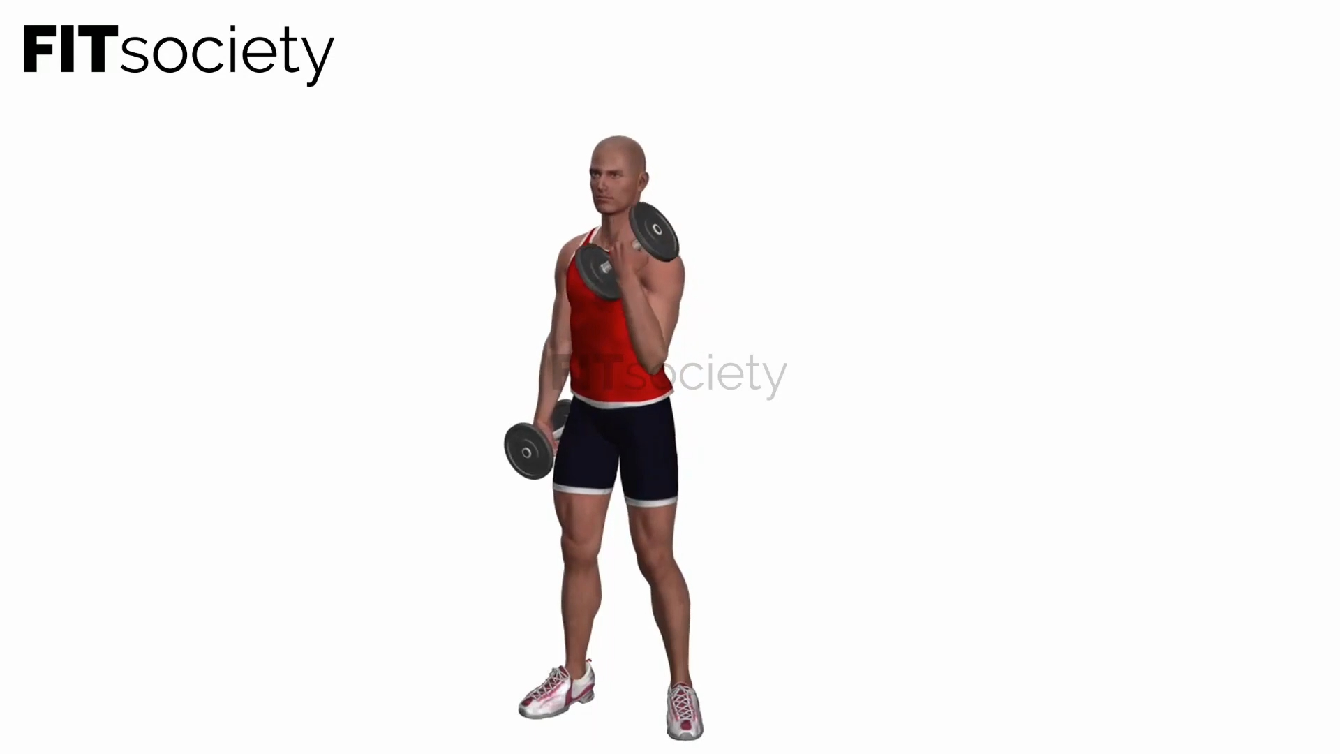 Alternating Bicep Curls