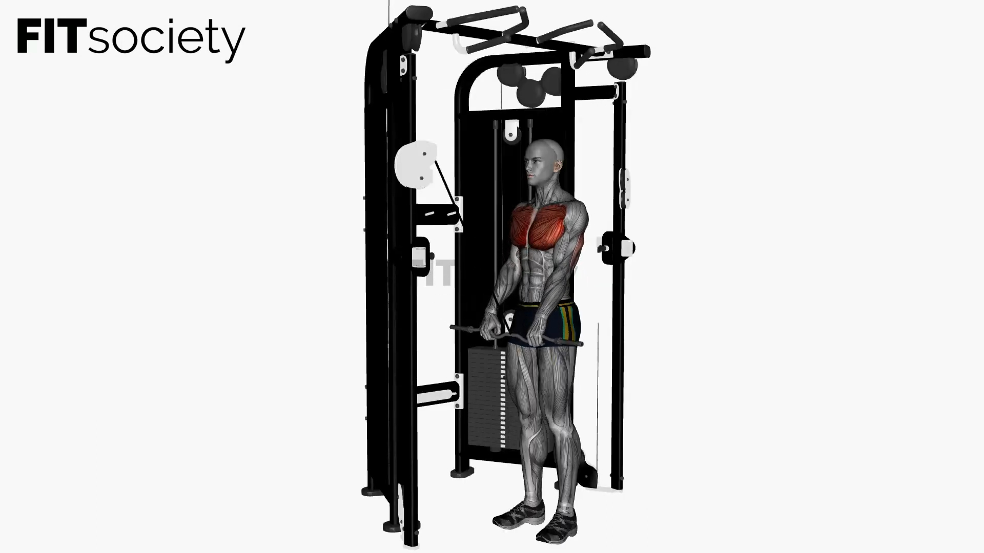 Extension des triceps à la poulie avec barre EZ et prise large