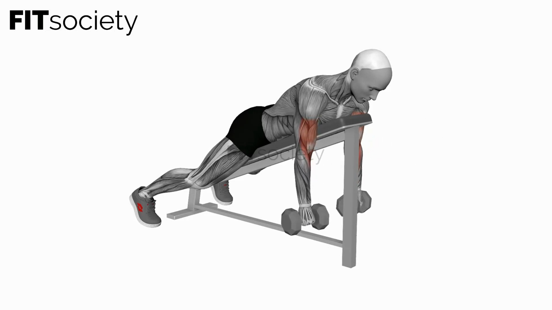 Dumbbell Reverse Spider Curl