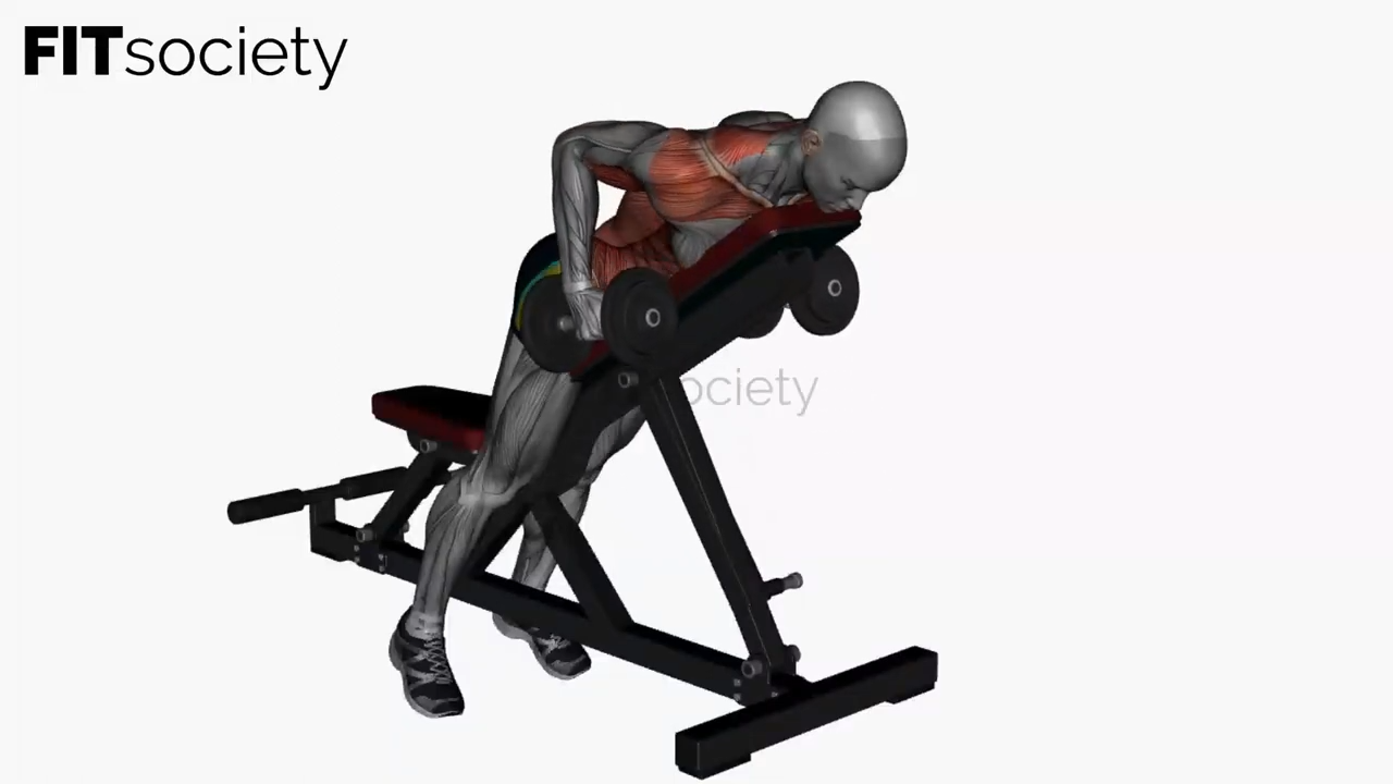 Prone Bench Row Dumbbells