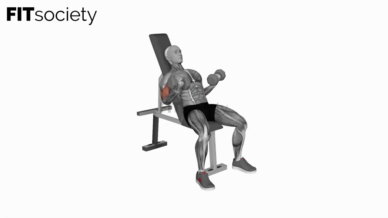 Dumbbell Incline Biceps Simultaneous Curl