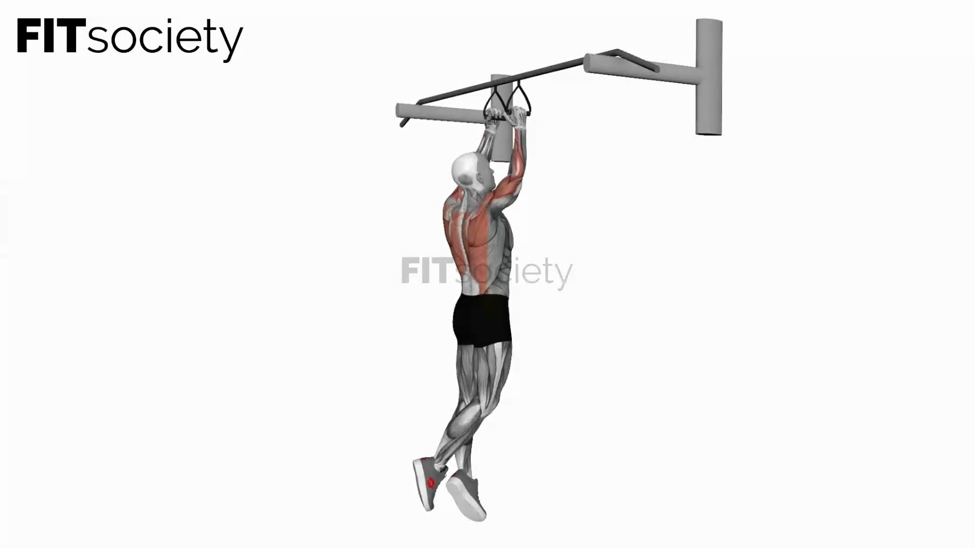 Chin-Ups (Narrow Parallel Grip)
