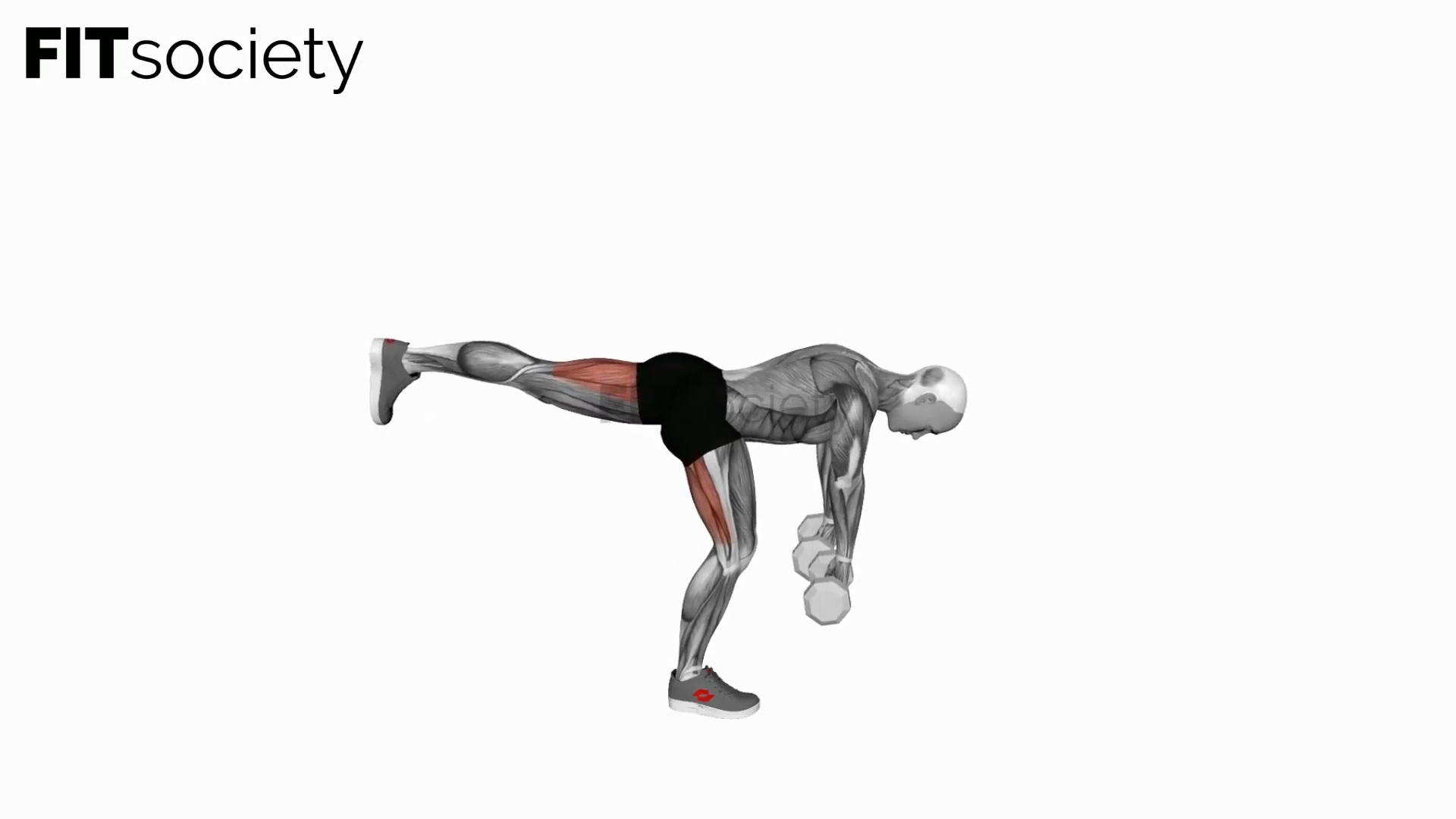 Dumbbell Single-Leg Deadlift