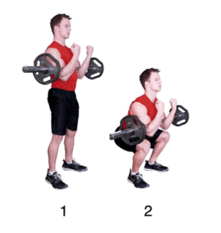 Zercher Squat