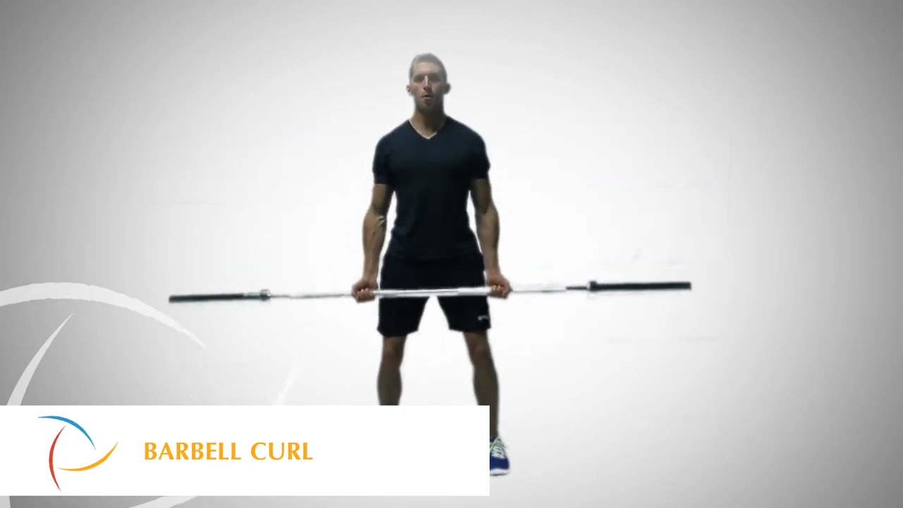 Curl con barra