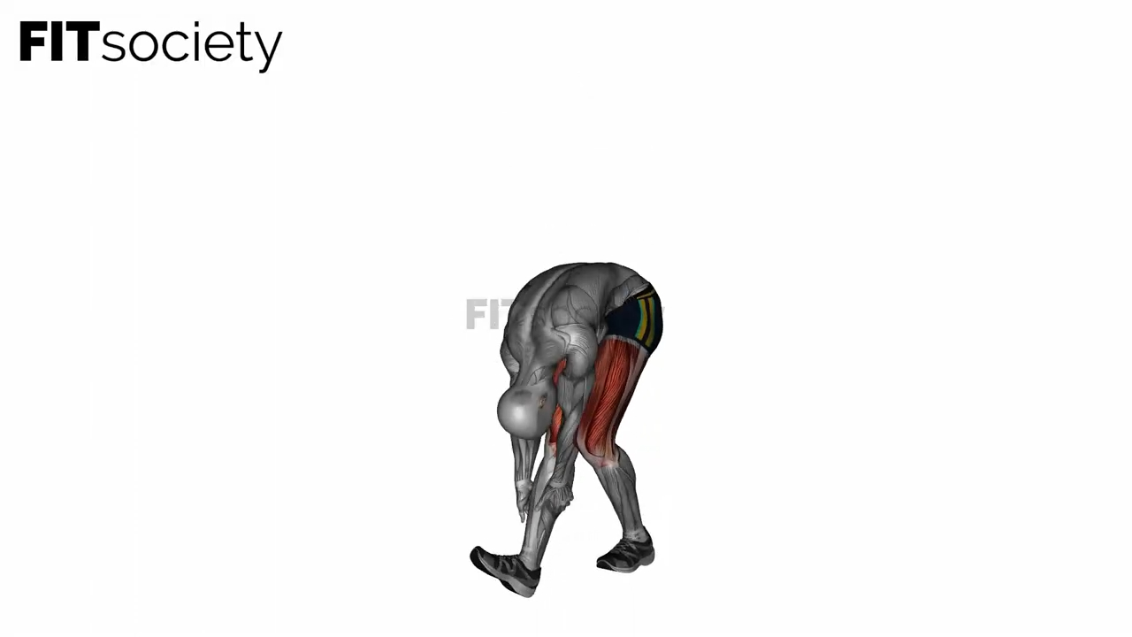 Runner Stretch