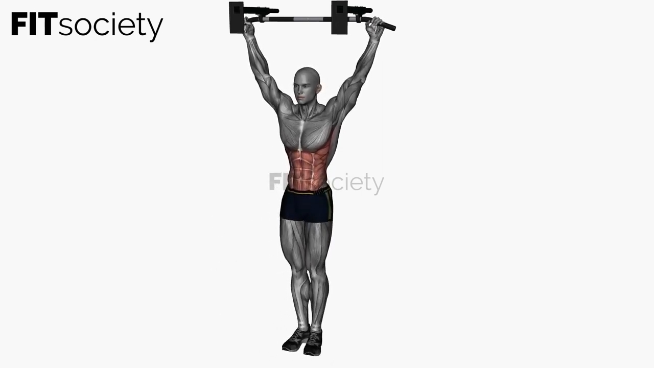 Hanging Knee Raises
