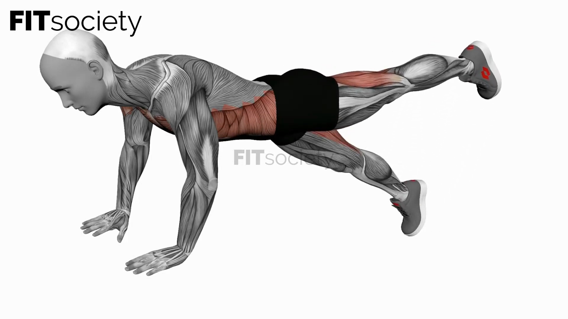 Alternating Single-Leg Raise Plank