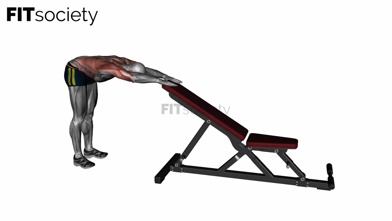 Dynamic Back Stretch