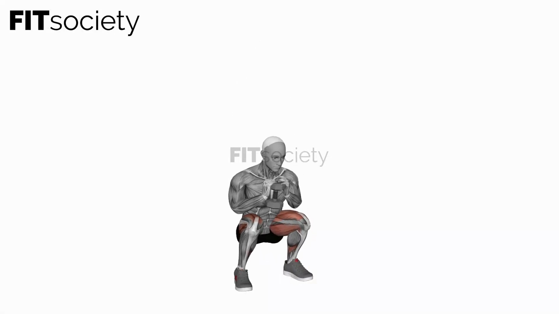 Dumbbell Goblet 2 Sec Hold Squat