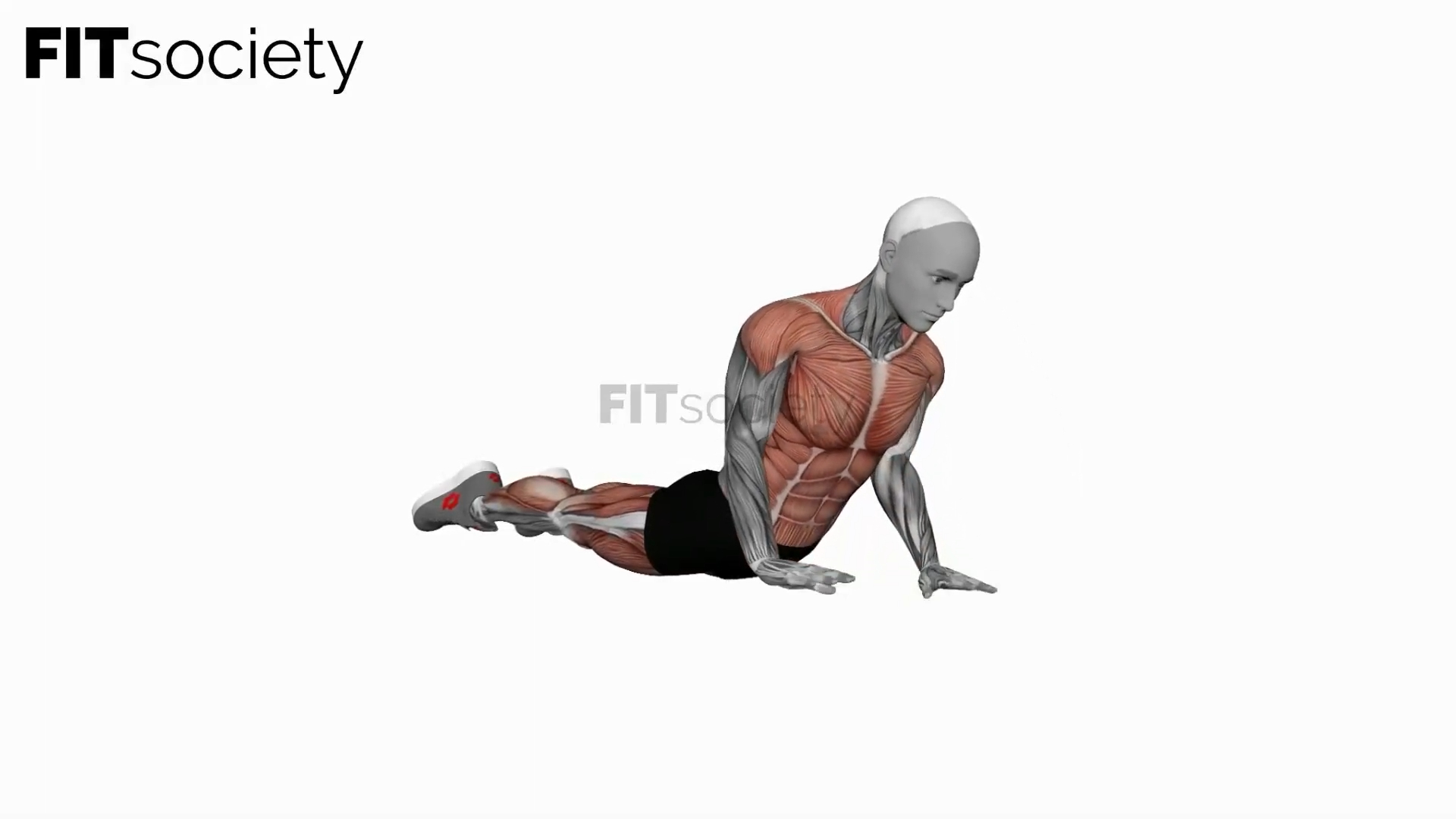 Cobra Yoga Pose Hold