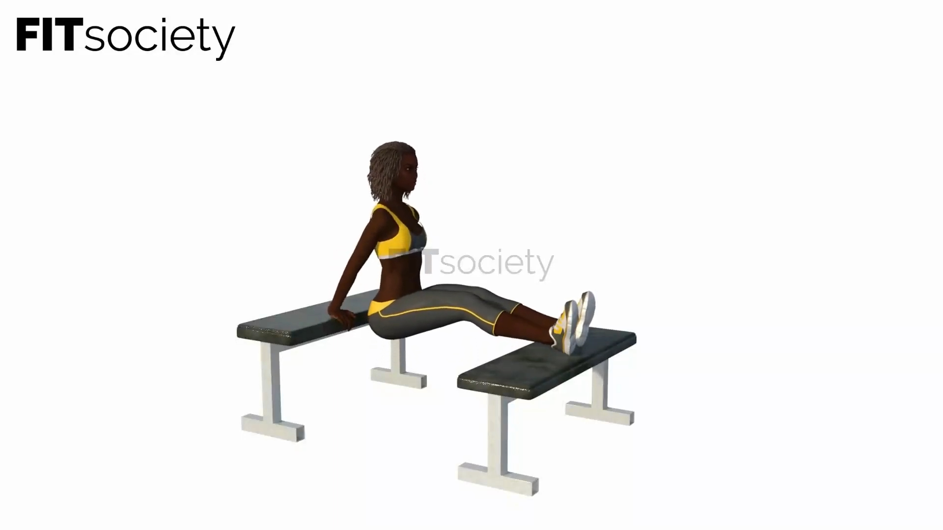 Double Bench Tricep Dips