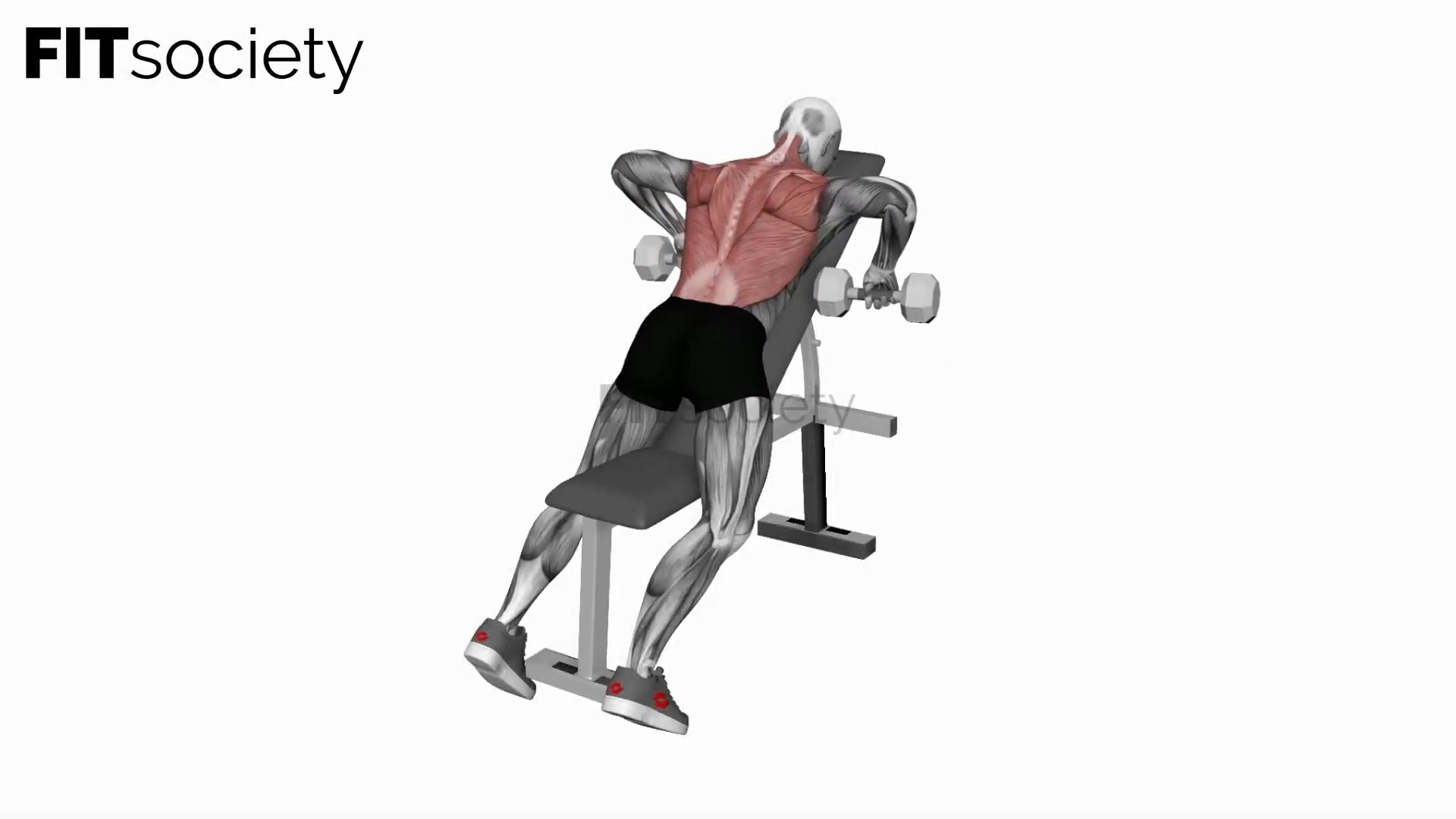 Dumbbell Incline Row
