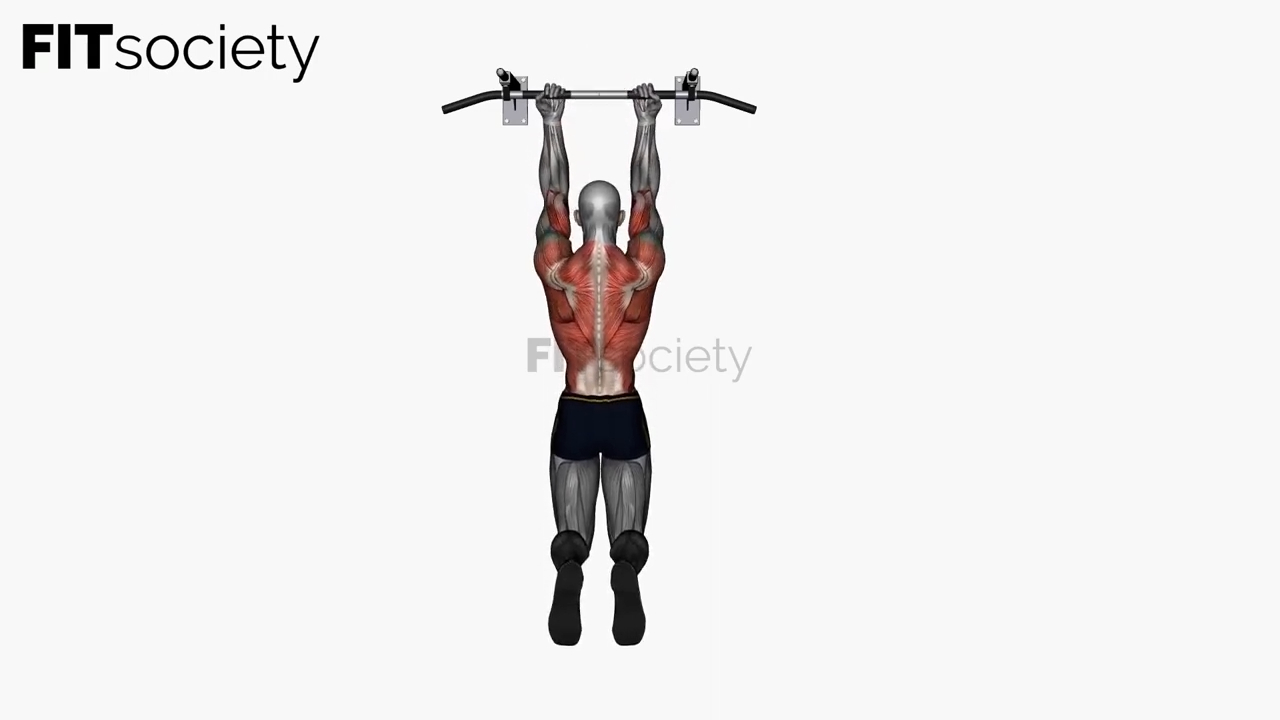 Chin-Up (Reverse, Normal Grip)